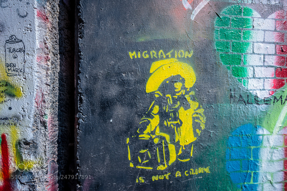 Nikon D850 sample photo. Israel and palestine 14 photography