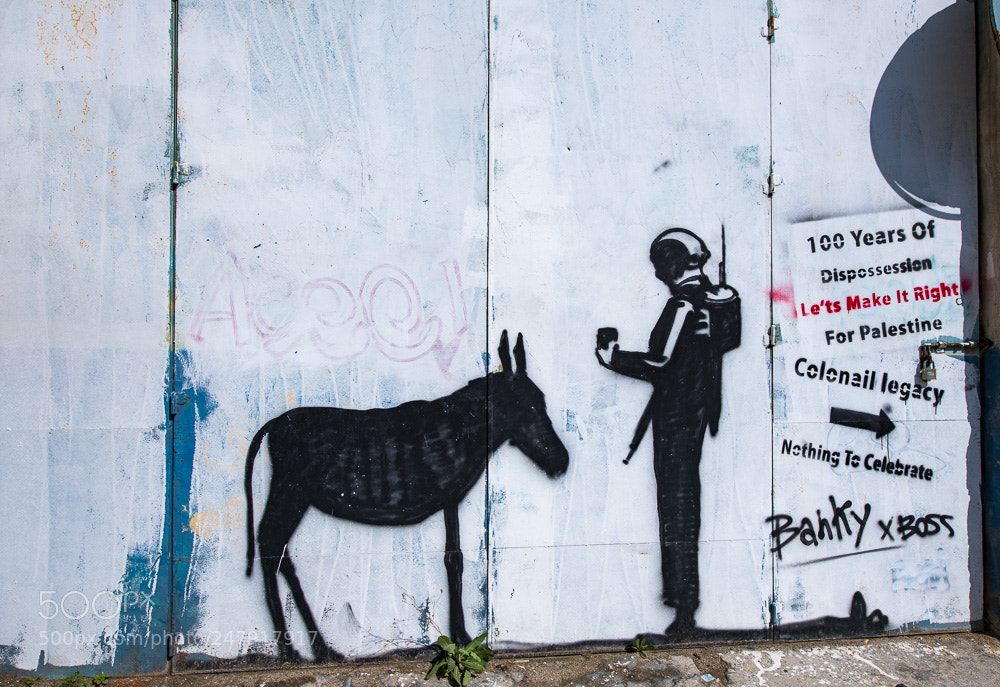 Nikon D850 sample photo. Israel and palestine 18 photography