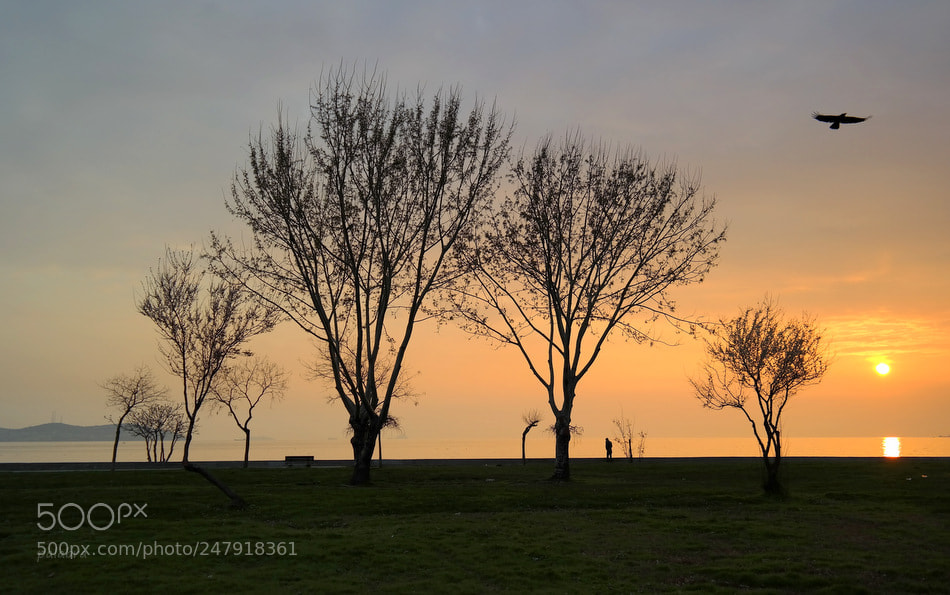 Samsung NX300 sample photo. ... photography
