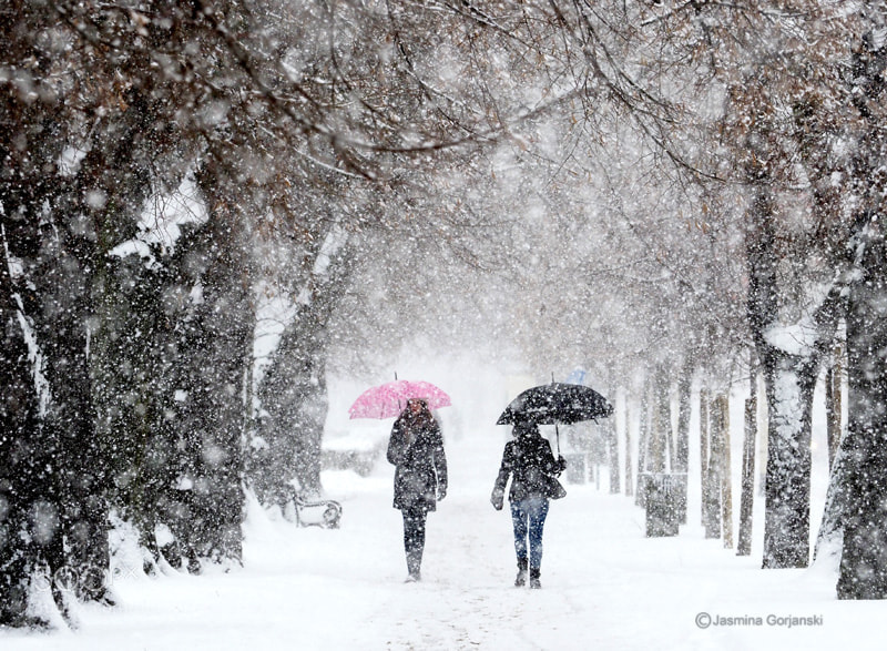 Olympus OM-D E-M1 Mark II sample photo. Winter on the boulevard photography