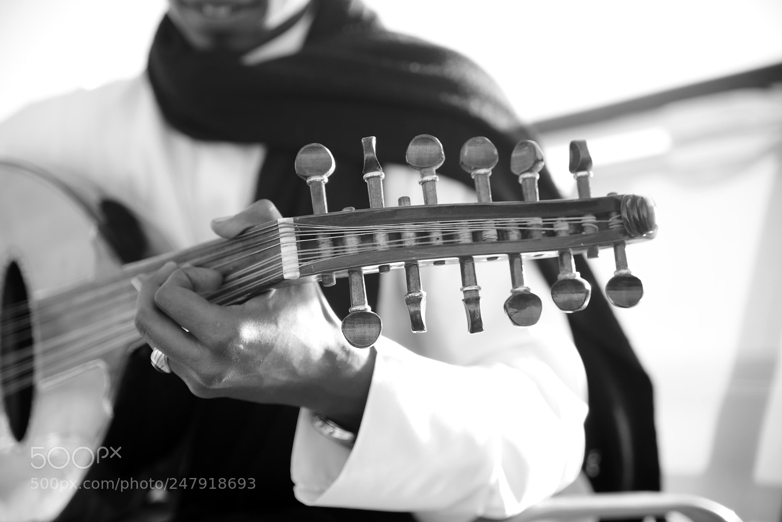 Nikon D610 sample photo. Aud photography