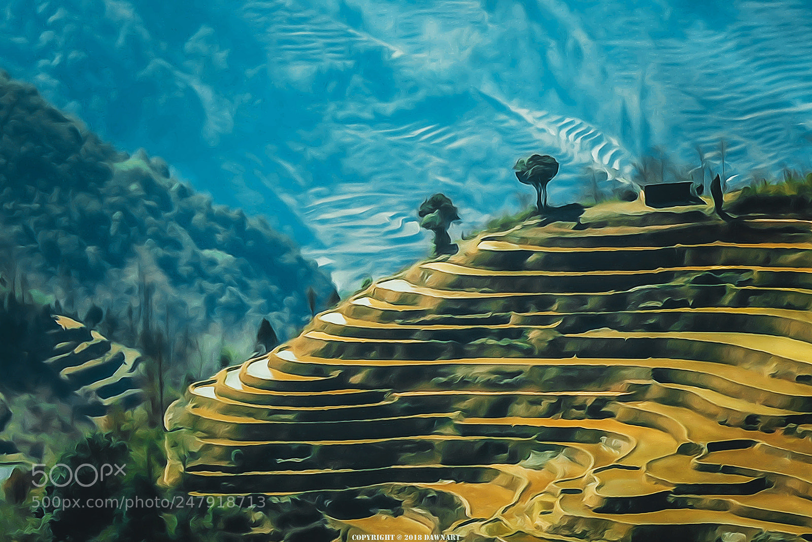 Sony a7R II sample photo. Terraced fields photography