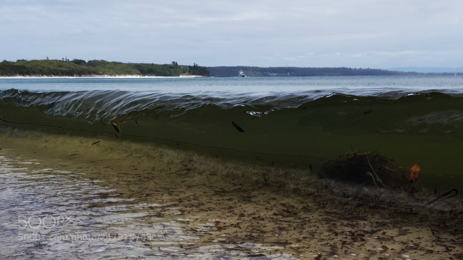 Samsung Galaxy S8 sample photo. Greenpatch - hyams beach photography