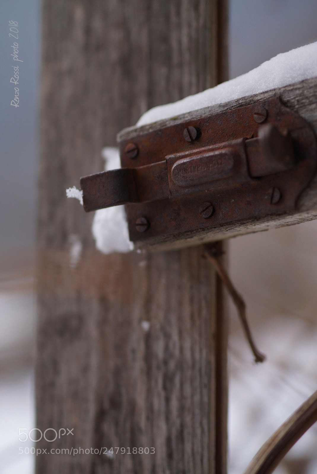 Sony ILCA-77M2 sample photo. Spontaneous elements photography