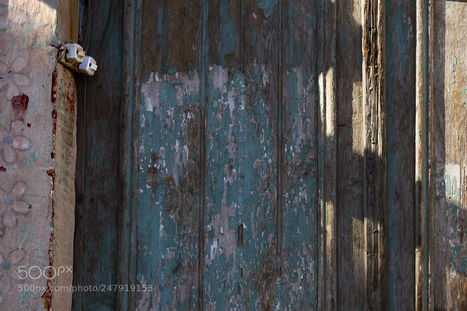 Nikon D7200 sample photo. Door watcher photography