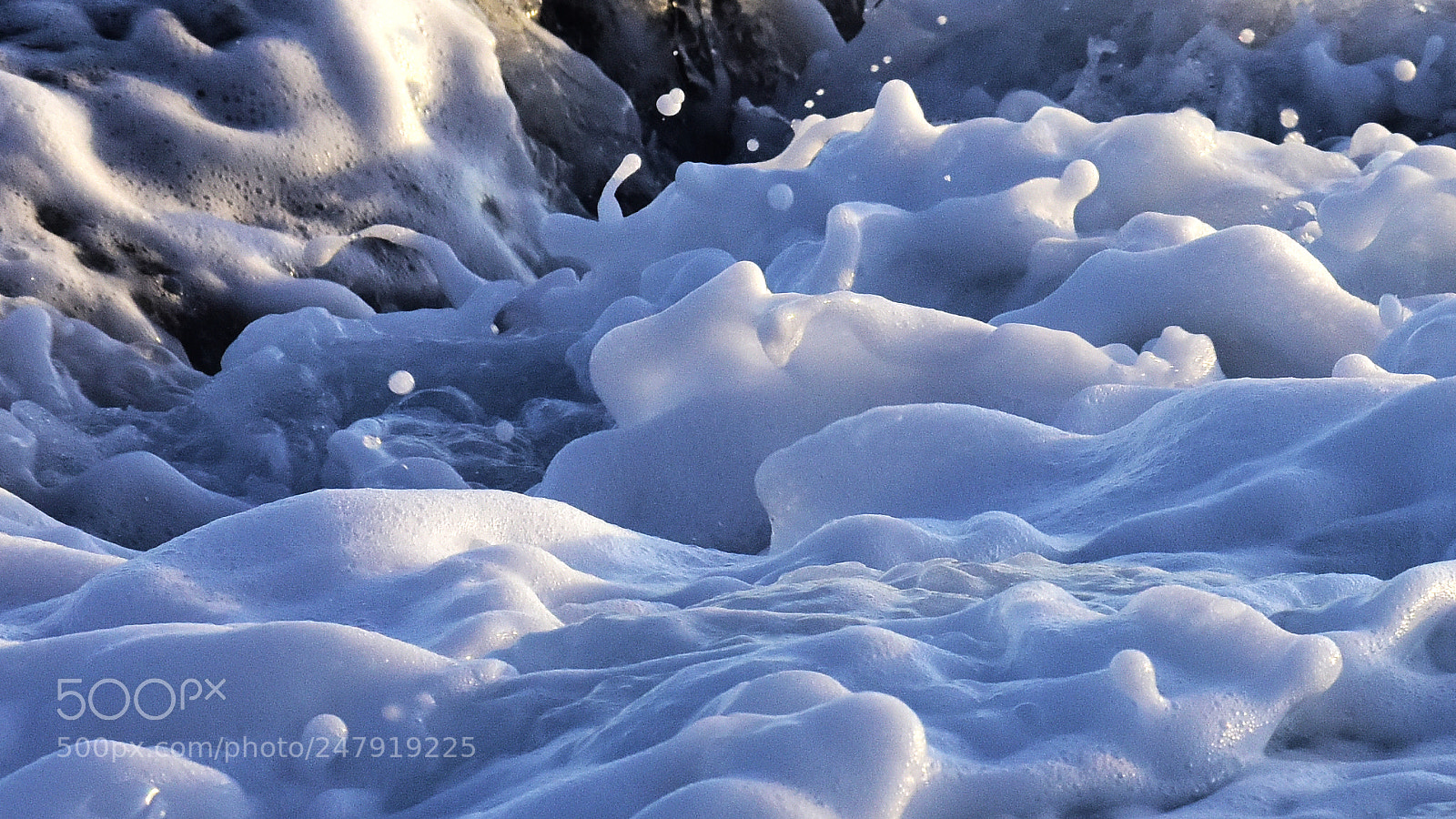 Nikon D810 sample photo. _dsc4160-1.jpg photography