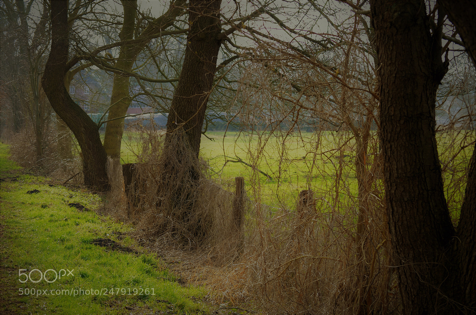 Nikon D5100 sample photo. Front-line photography
