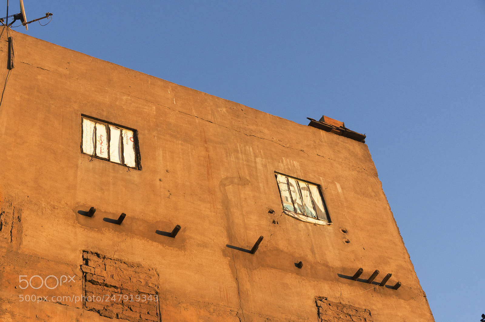 Sony Alpha NEX-5R sample photo. Jaune photography