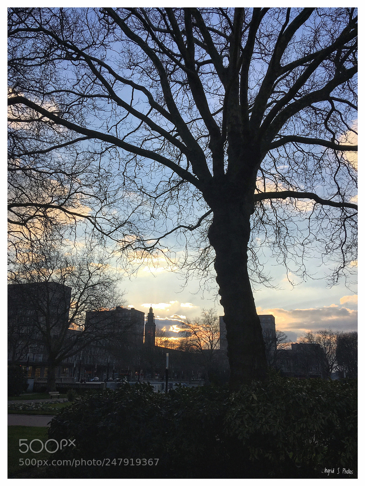 Apple iPhone SE sample photo. Sous l’arbre... photography