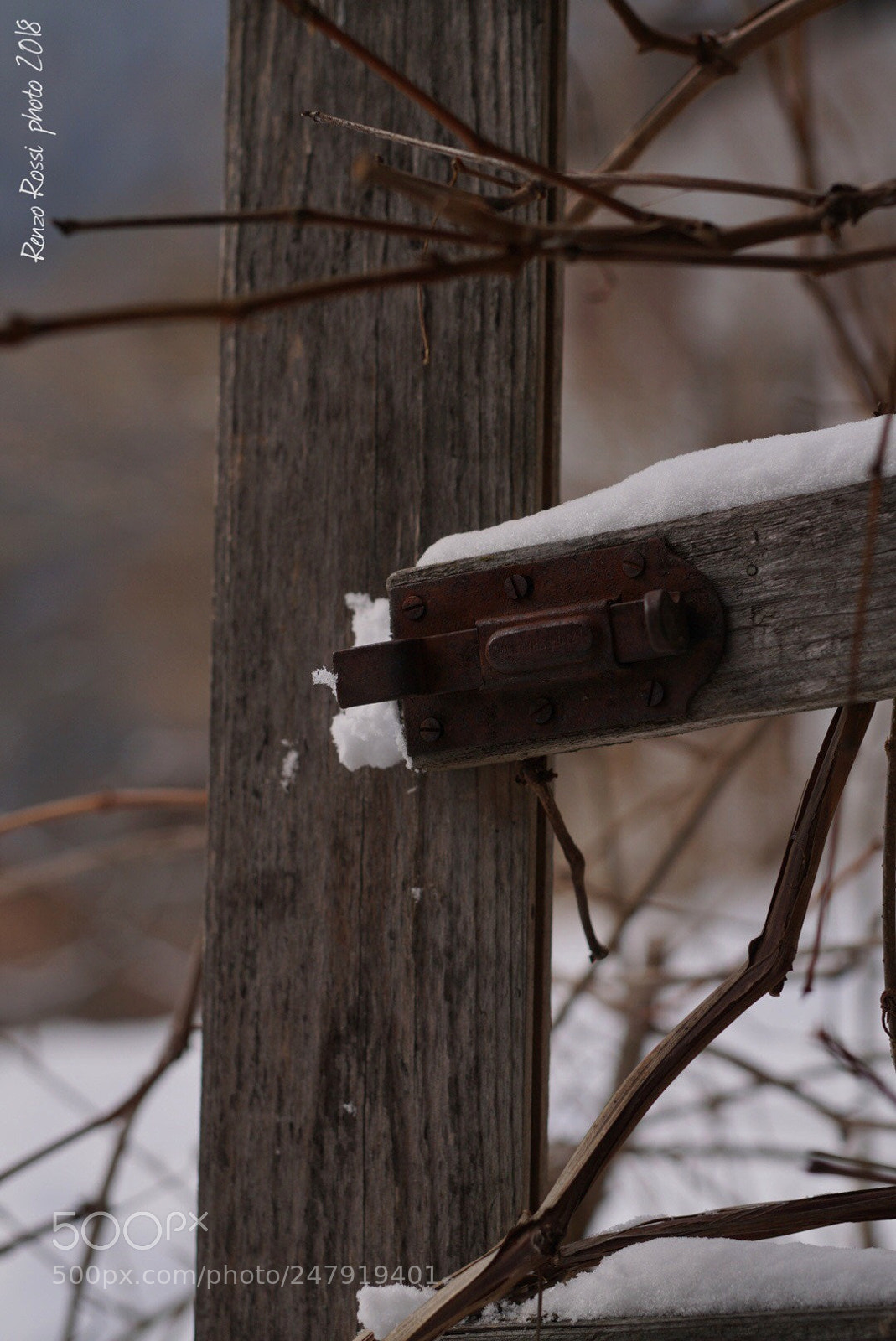 Sony ILCA-77M2 sample photo. Natural fragments on a photography
