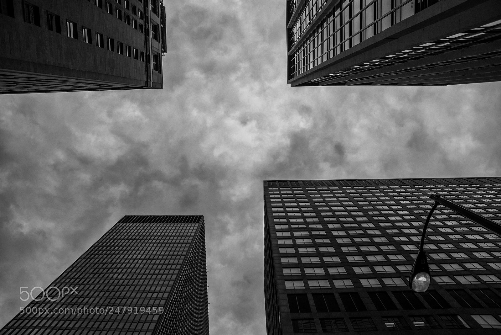 Nikon D610 sample photo. Chicago photography