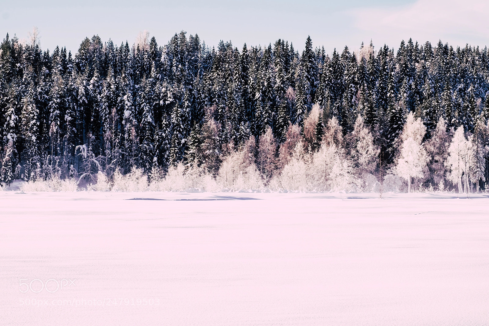 Fujifilm X-T1 sample photo. Storforsen photography