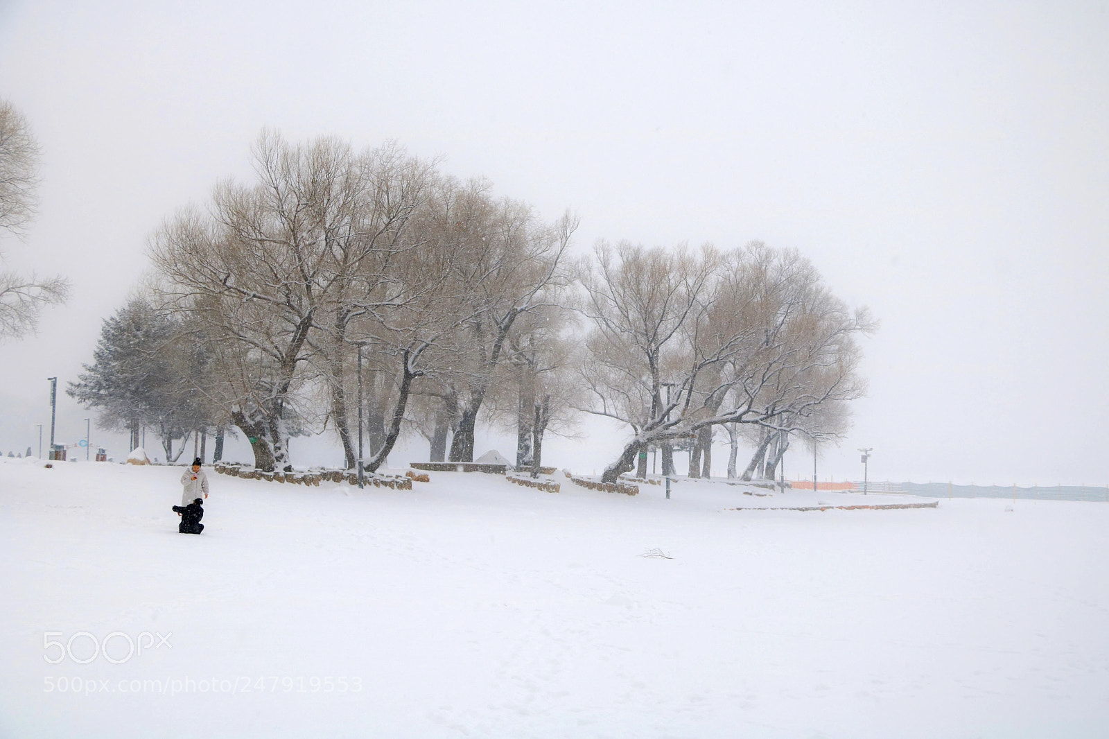 Canon EOS 760D (EOS Rebel T6s / EOS 8000D) sample photo. Snow in new spring photography