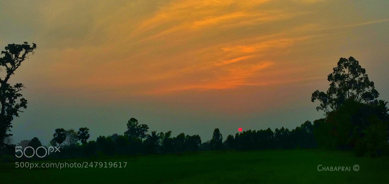 Apple iPhone 5s sample photo. Alone... photography