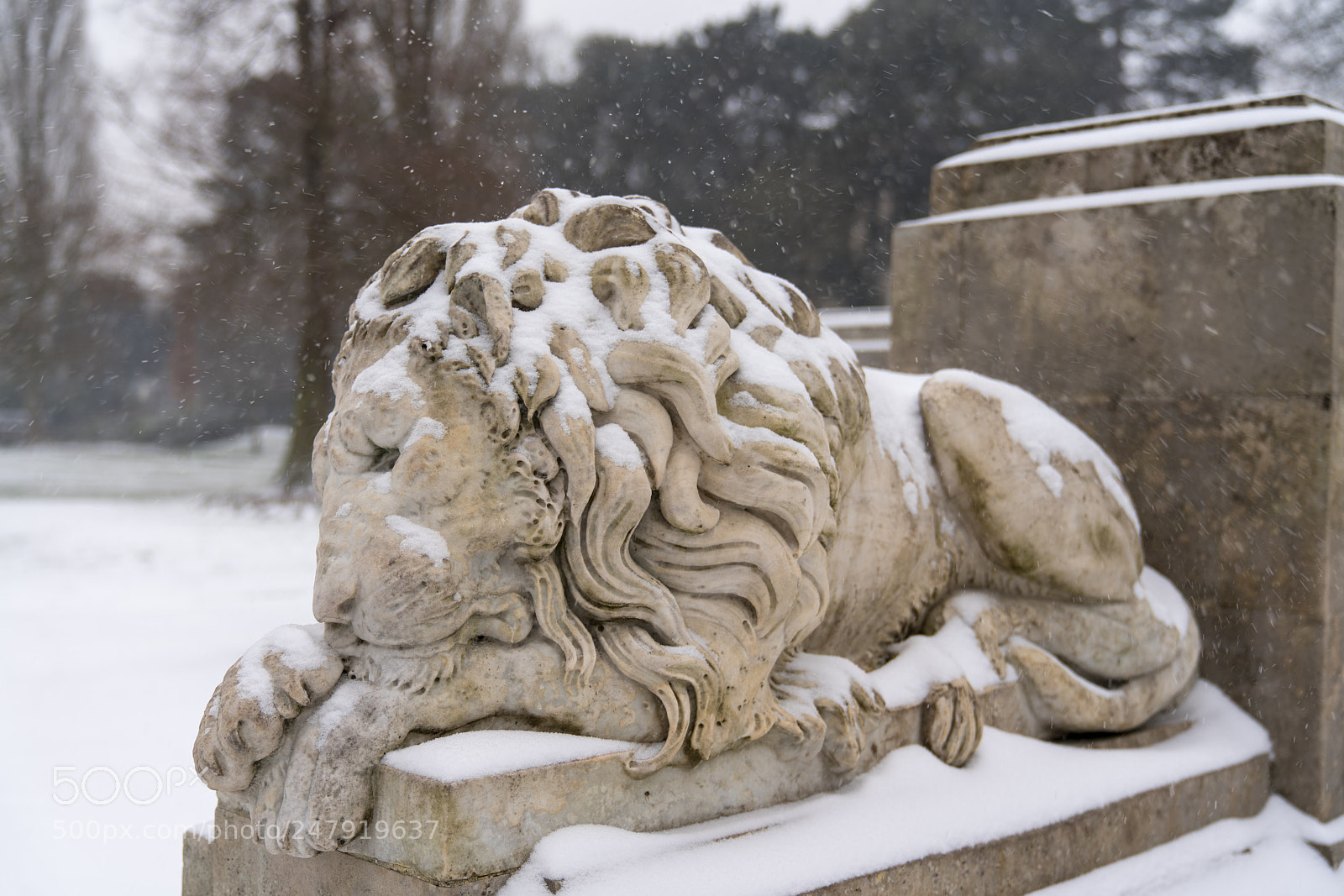 Sony a7R II sample photo. Snowy cenotaph lion photography