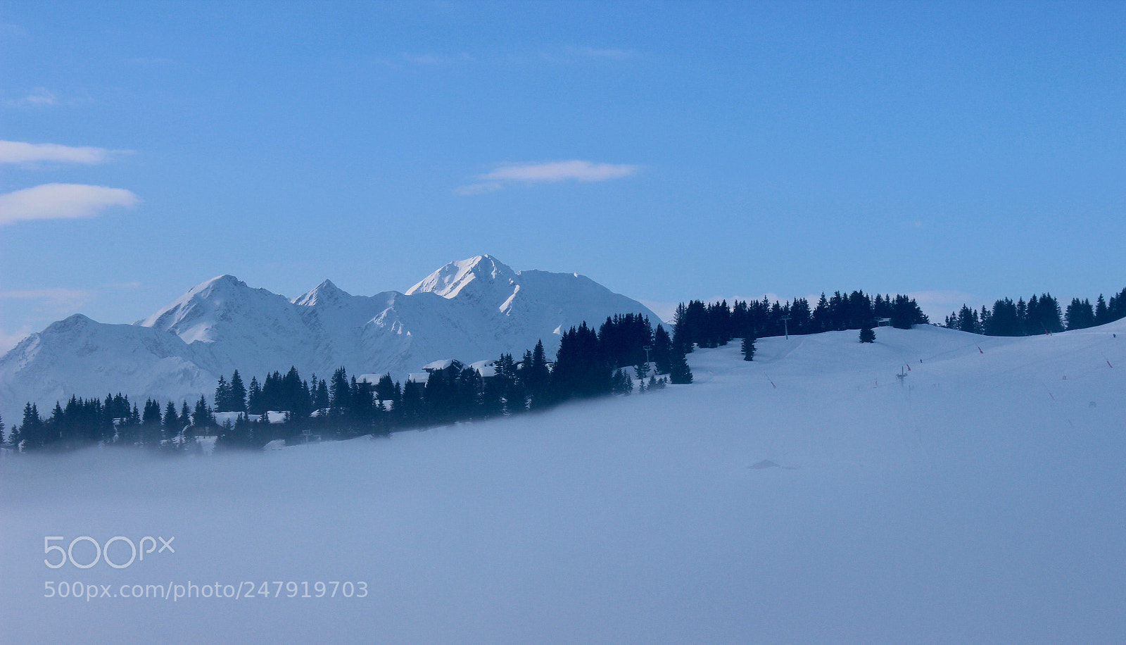 Canon EOS 600D (Rebel EOS T3i / EOS Kiss X5) sample photo. Série hiver bleu photography