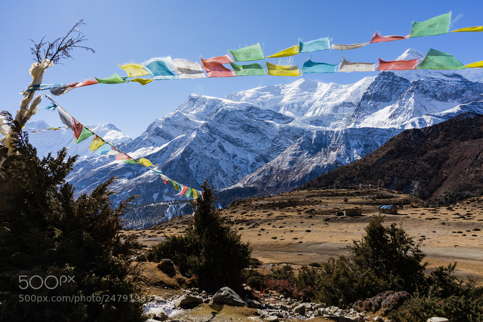 Sony a7 II sample photo. The annapurnas - nepal photography