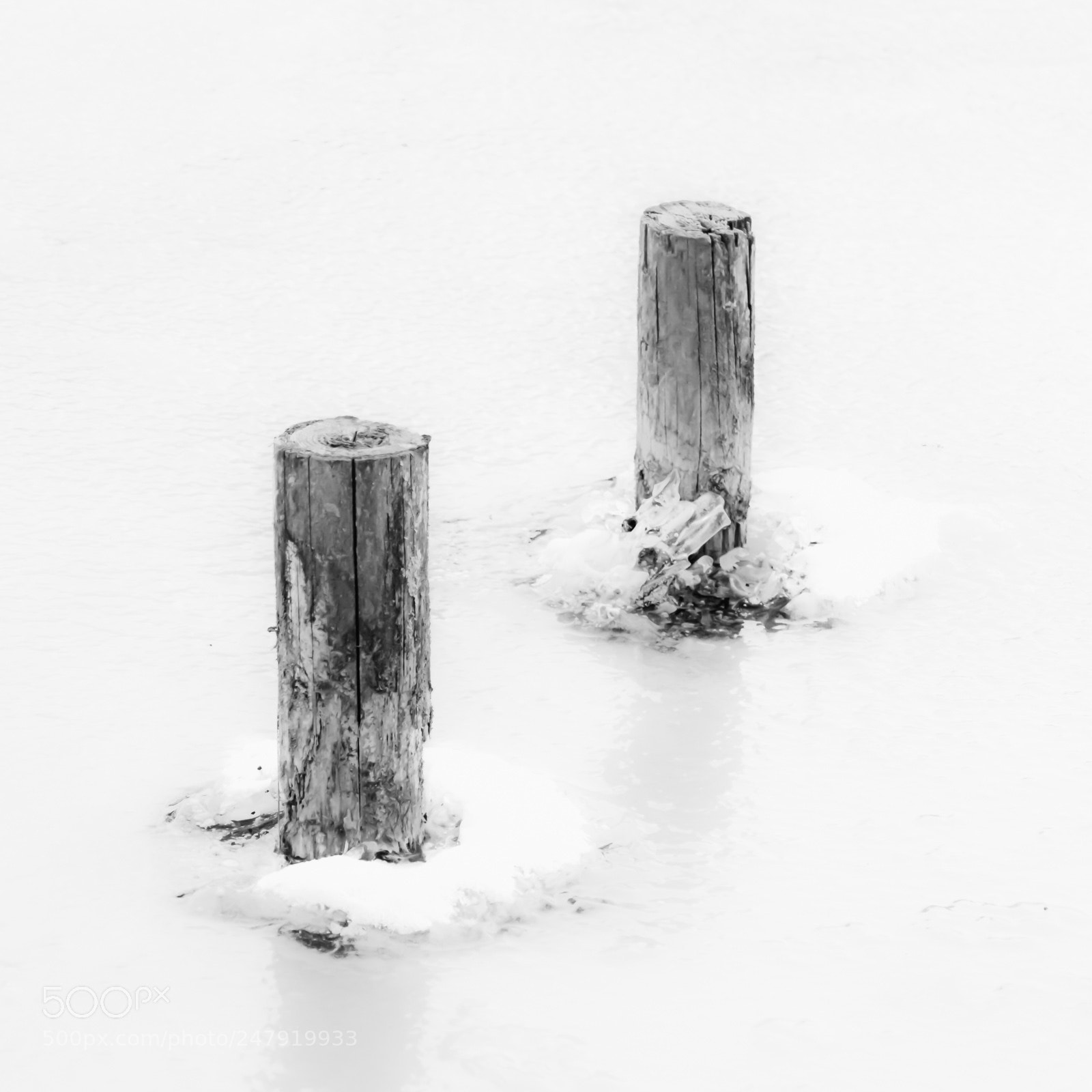 Panasonic Lumix DMC-FZ1000 sample photo. Cold and lonely photography