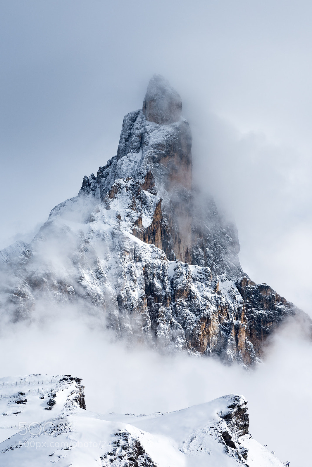 Nikon D810 sample photo. Cimon della pala, passo photography