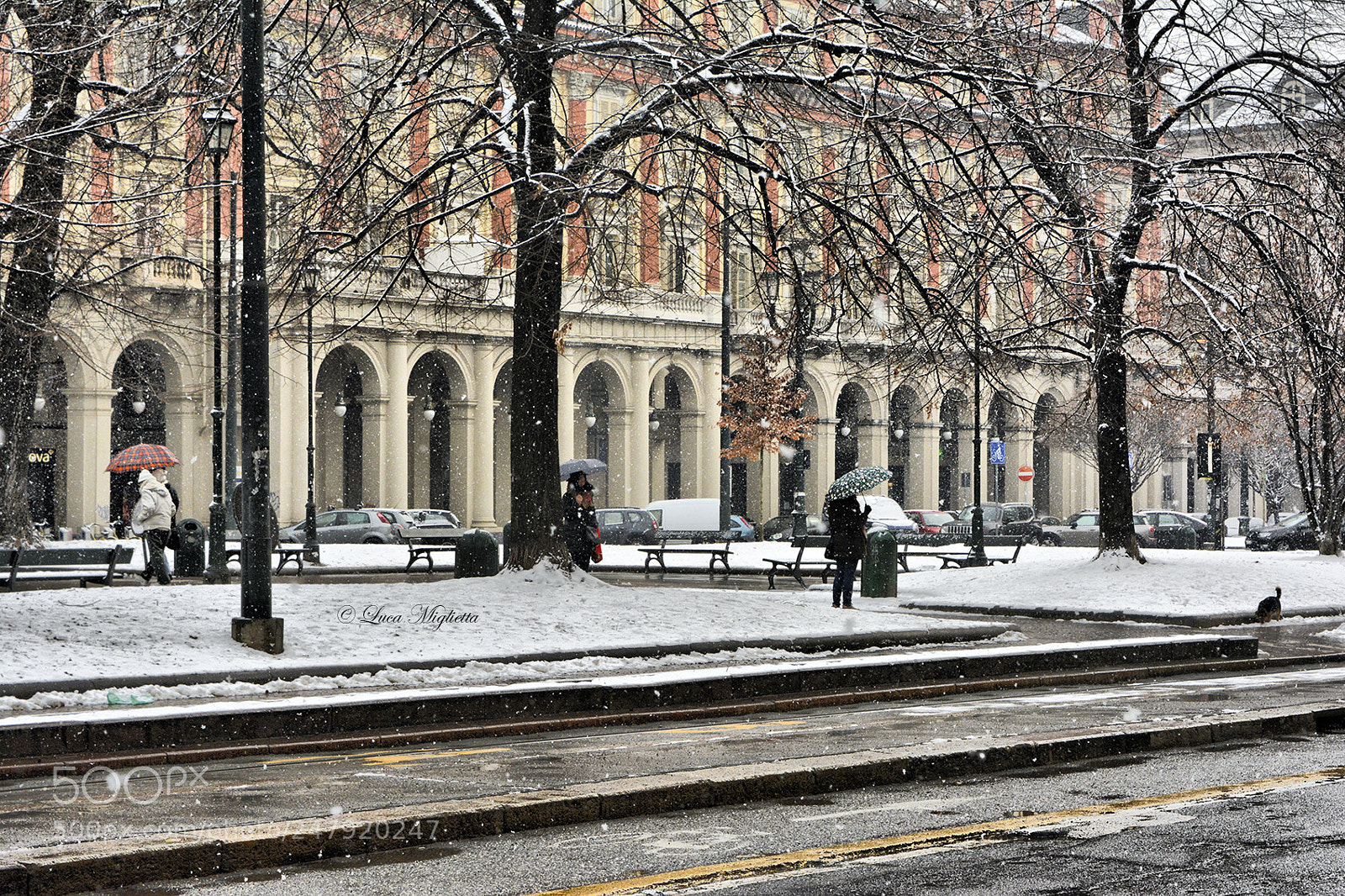 Nikon D5200 sample photo. Snowy day in march photography