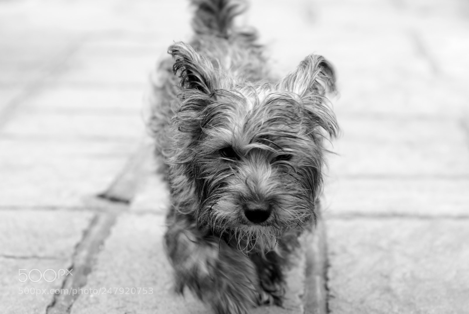 Nikon D200 sample photo. I've got my eye photography
