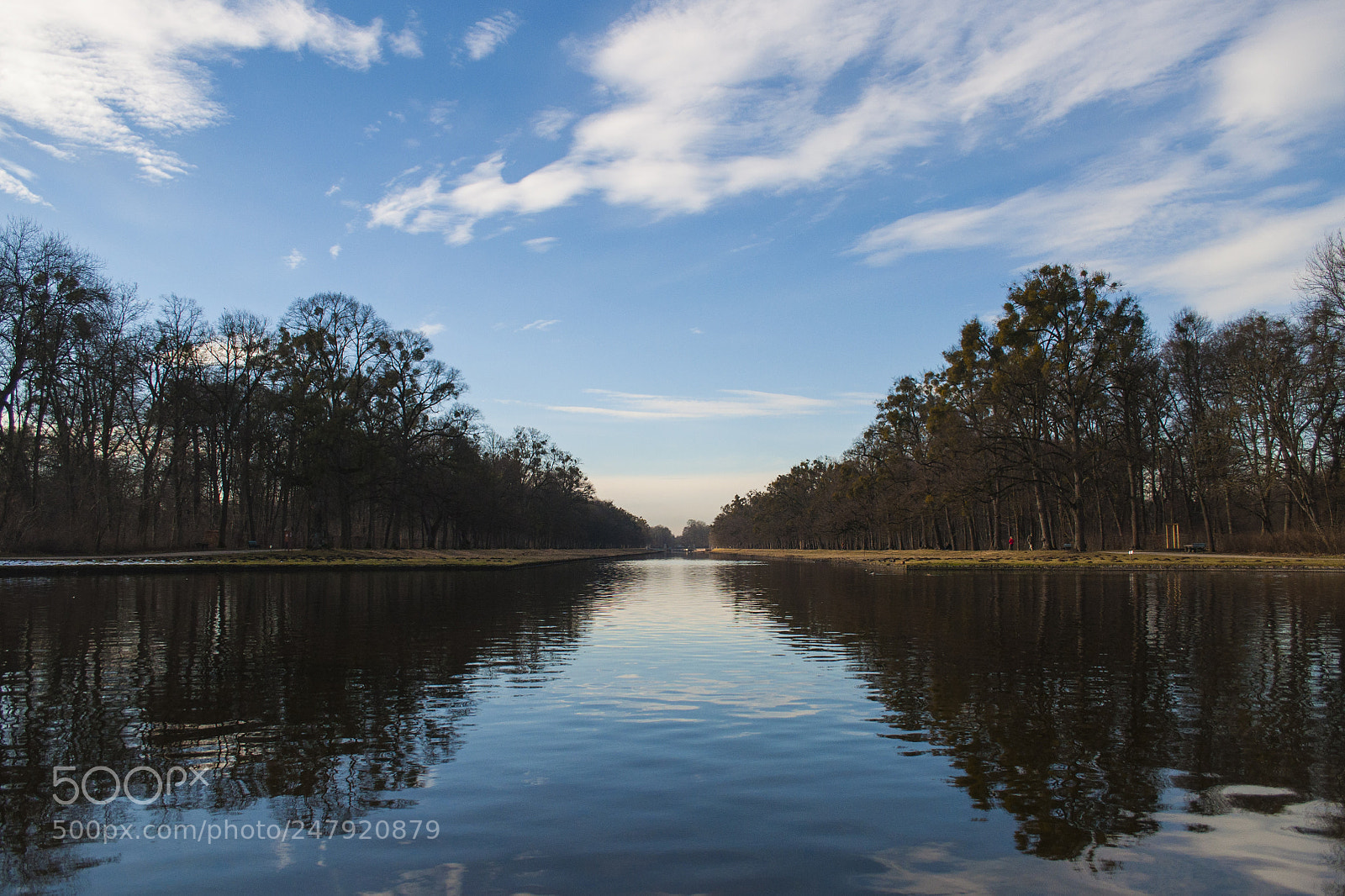 Nikon D5000 sample photo. Gaze at the horizon photography