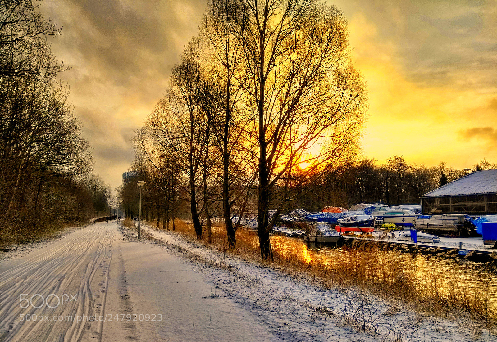 Motorola Moto G (5th Gen) sample photo. Winter near the new photography