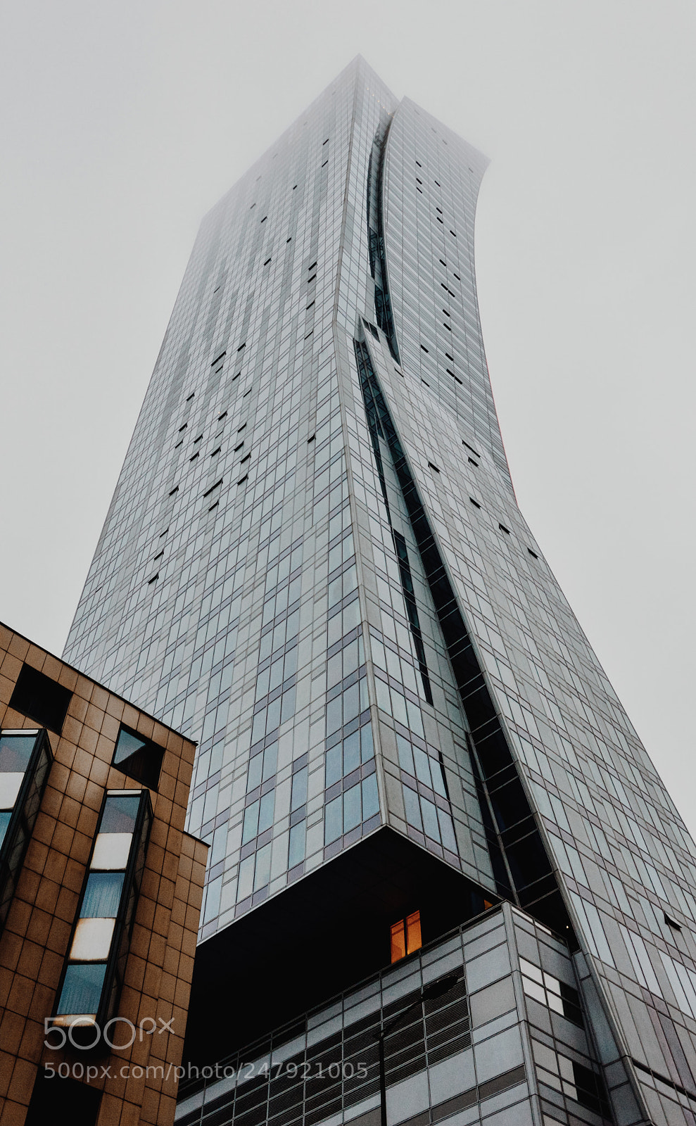 Nikon D3200 sample photo. Zlota 44 photography
