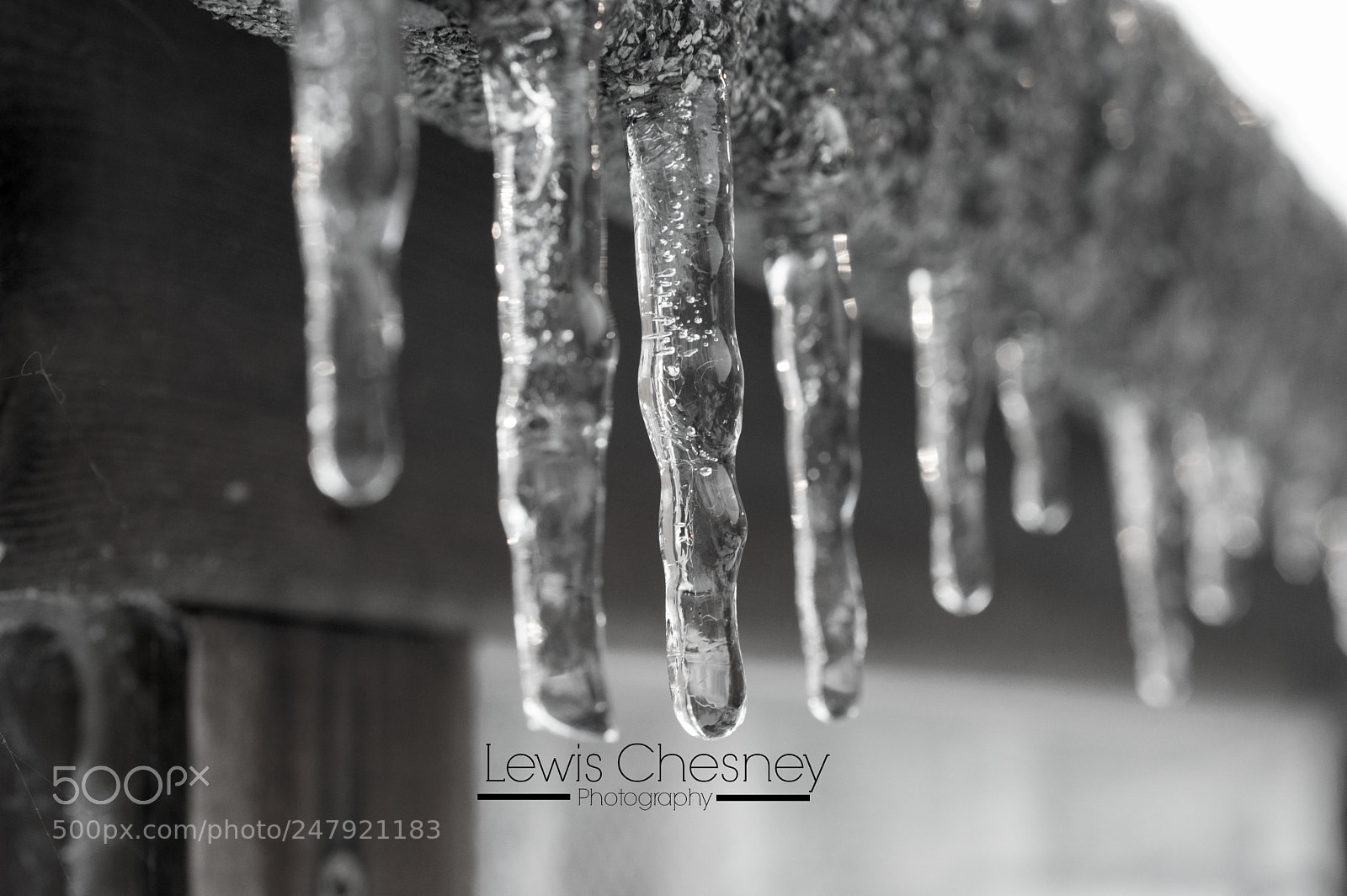 Nikon D3200 sample photo. Icicle photography