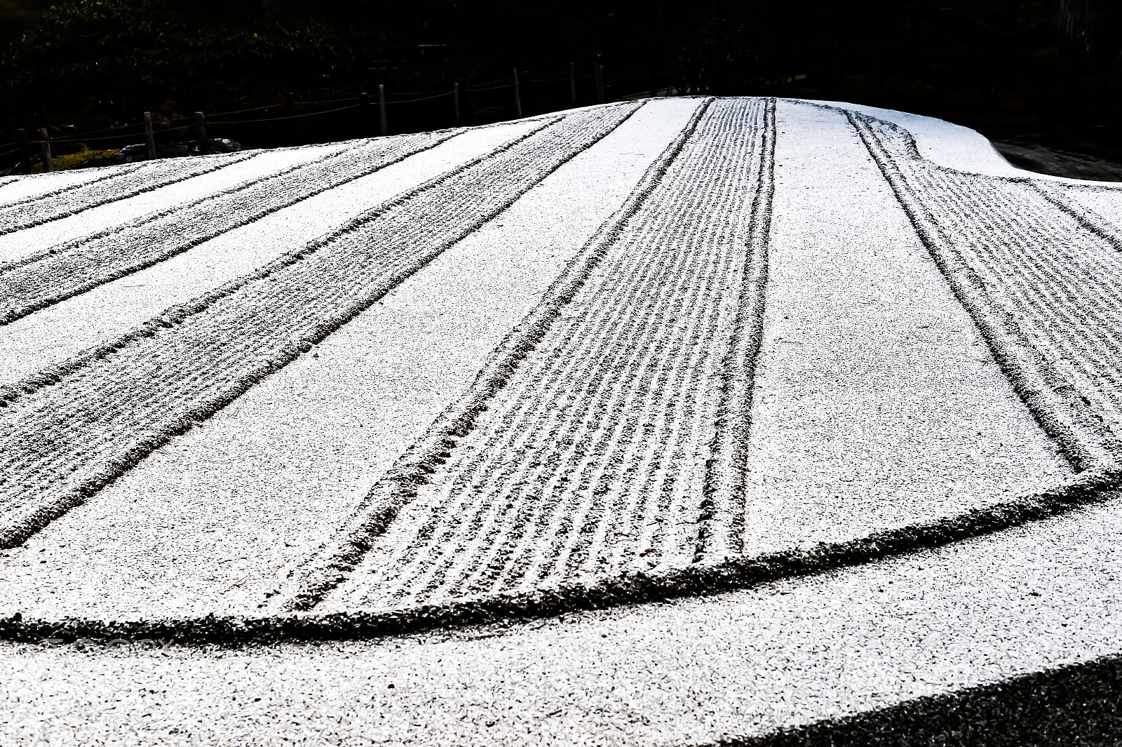 Nikon Df sample photo. The rock garden photography