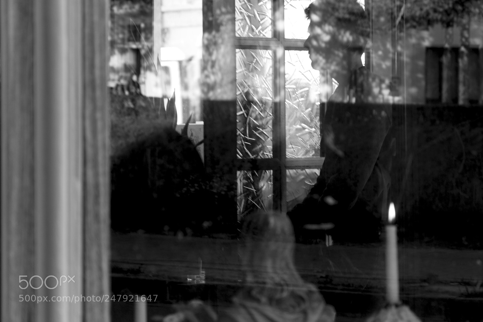 Nikon D5200 sample photo. Cafe de walrus.jpg photography