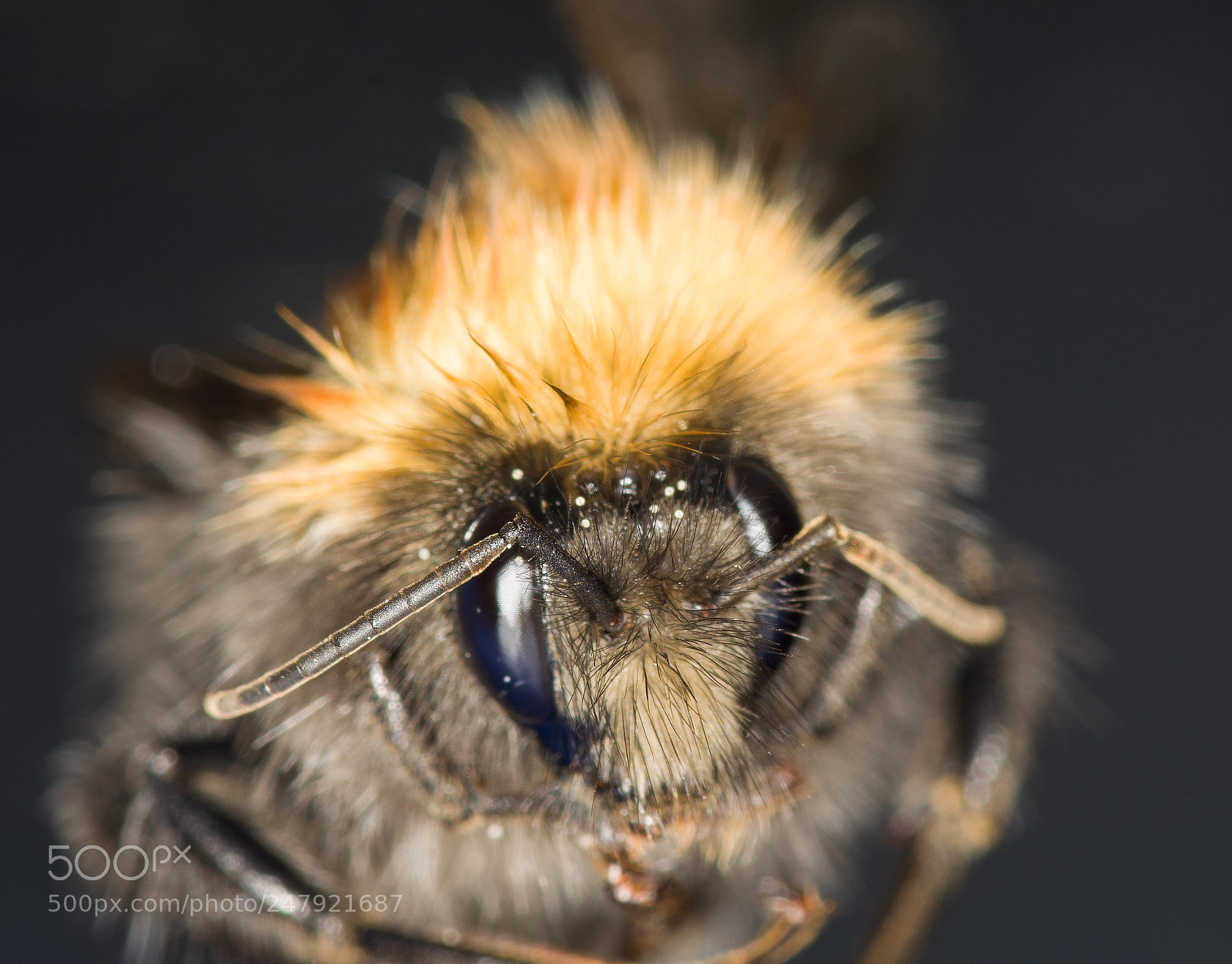 Nikon D5200 sample photo. Roll on the summer photography