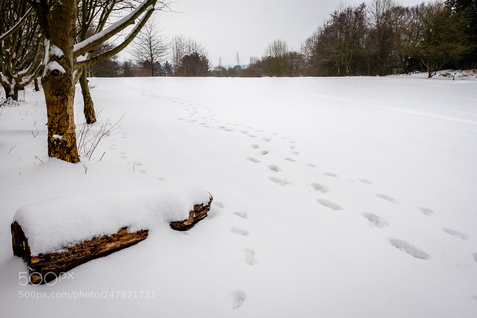 Fujifilm X-Pro2 sample photo. Footprints photography