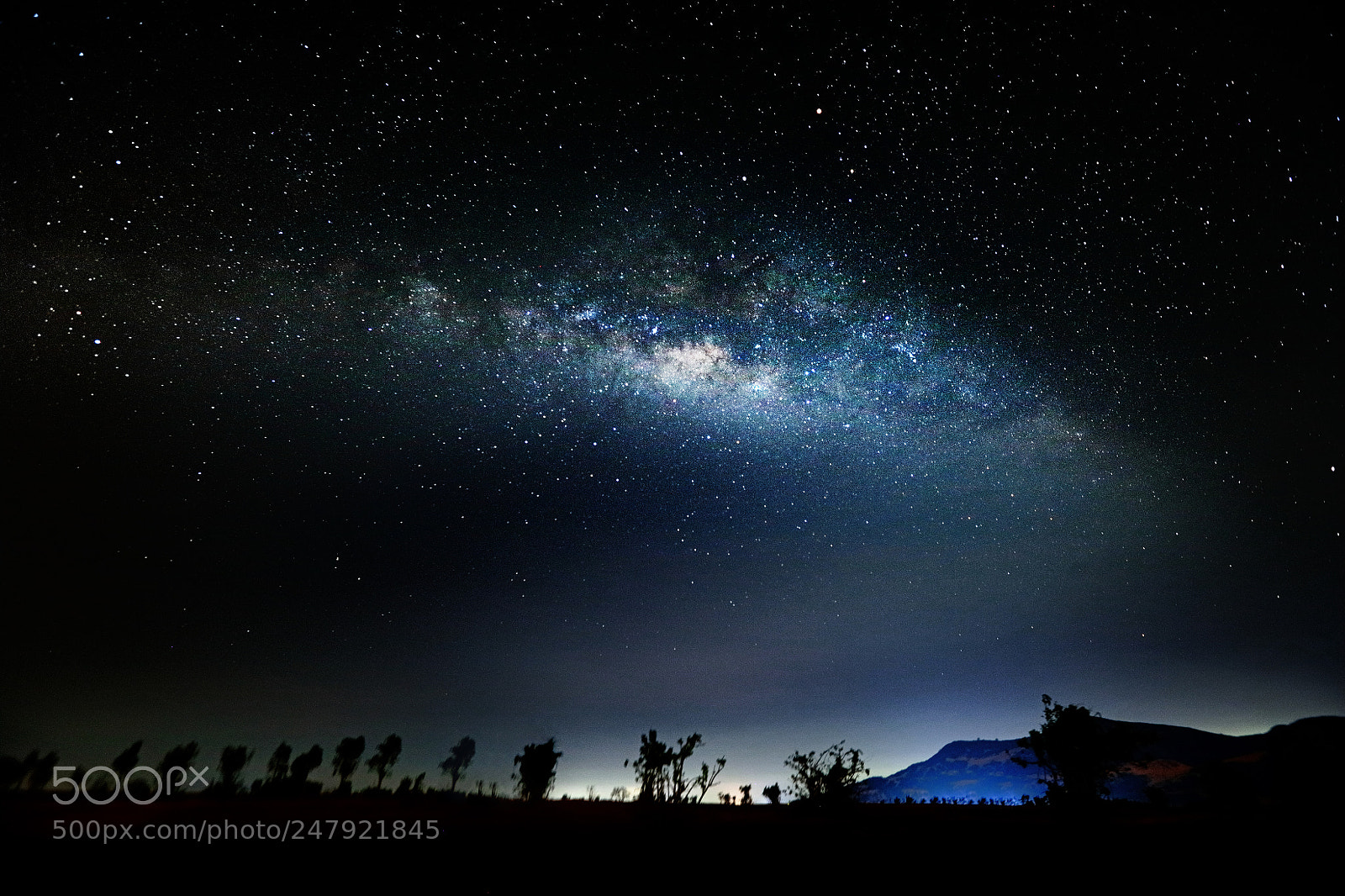Canon EOS 5DS R sample photo. D i ng n photography