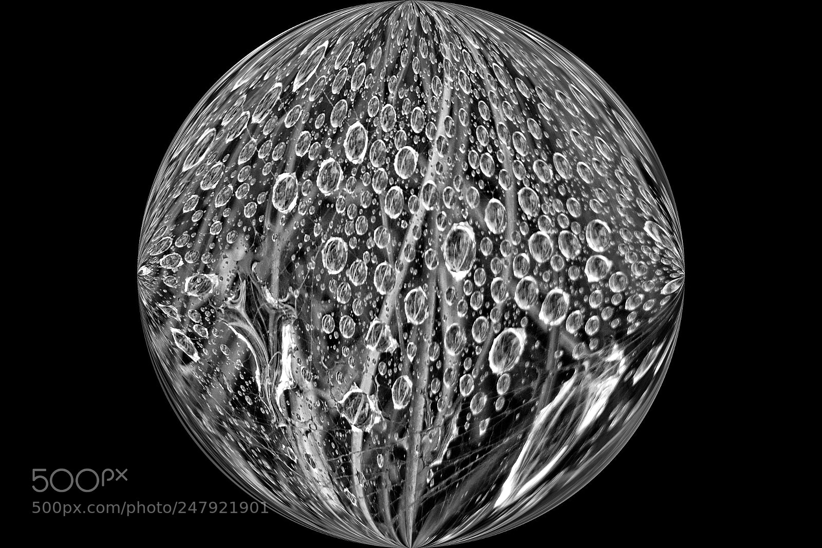 Panasonic Lumix DMC-FZ1000 sample photo. Spherical raindrop photography