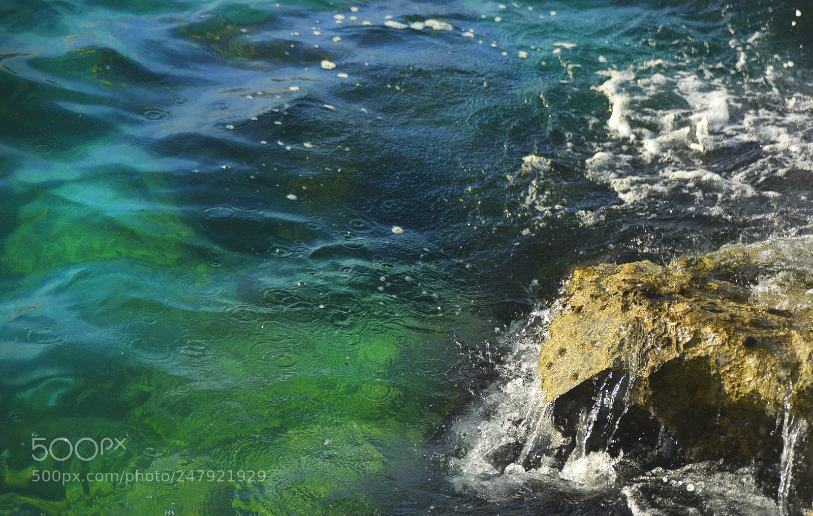 Nikon D800 sample photo. The tropical sea of photography
