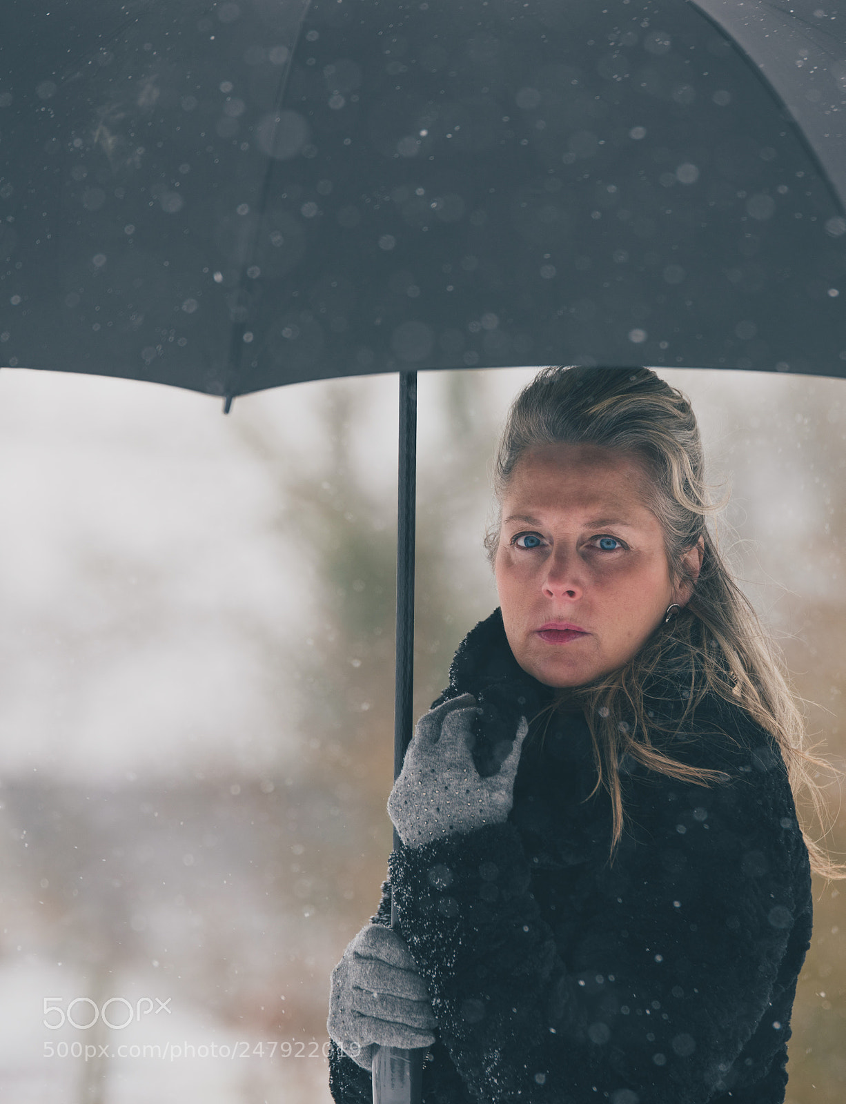 Nikon D810 sample photo. Sad in the snow photography