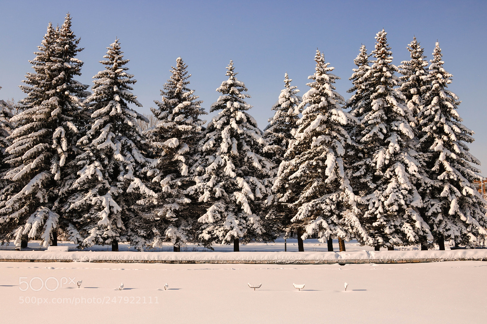 Canon EOS 760D (EOS Rebel T6s / EOS 8000D) sample photo. Winter photography