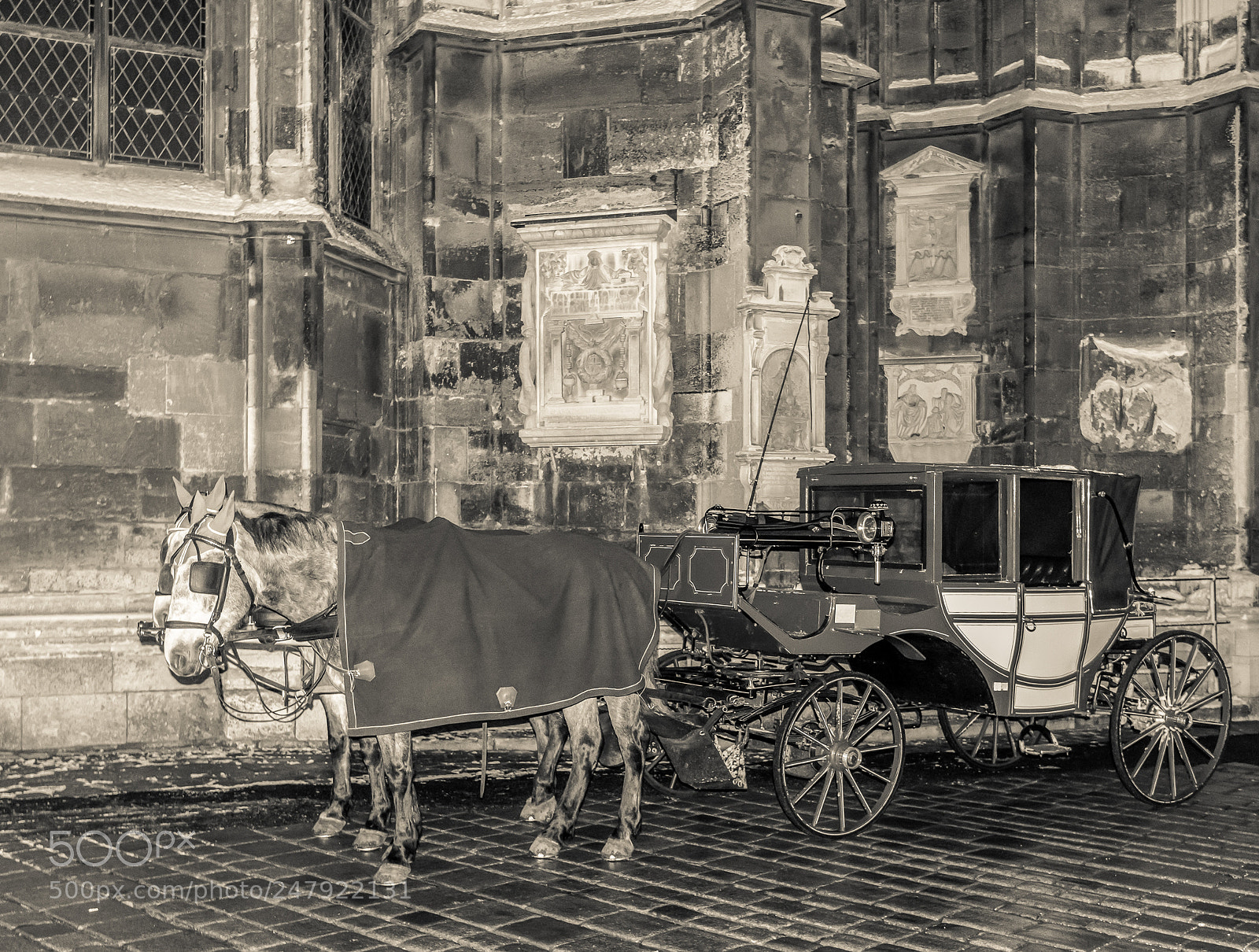 Nikon D810 sample photo. On a dull winter photography