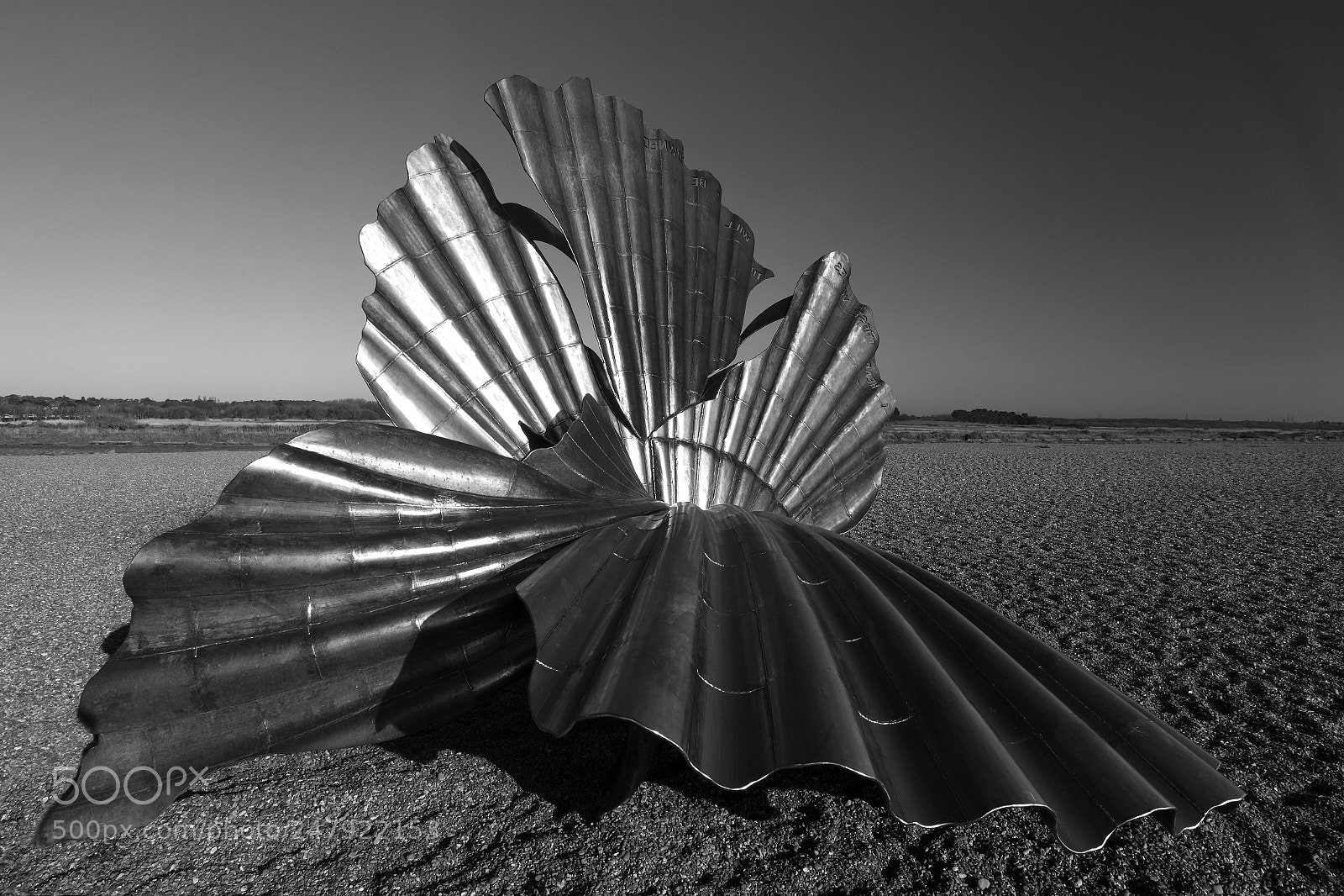 Canon EOS 5D Mark II sample photo. The scallop shell sculpture photography
