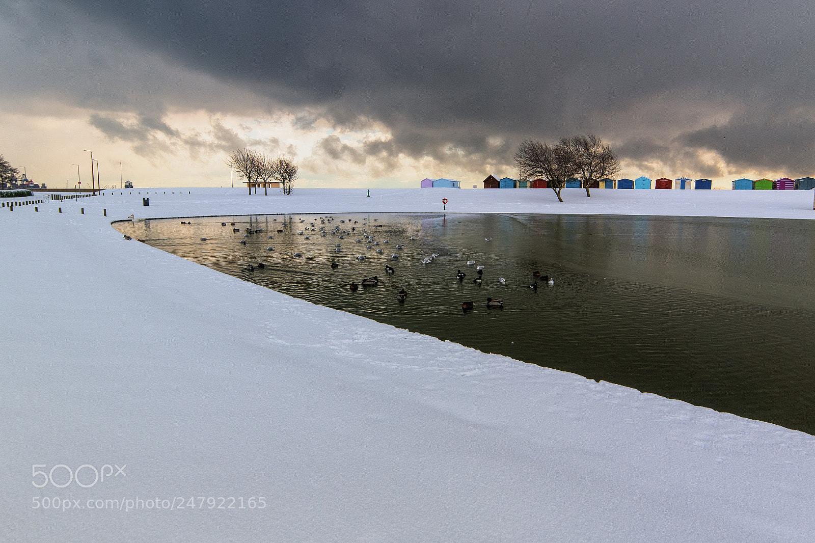 Nikon D850 sample photo. Grounded by snow at photography