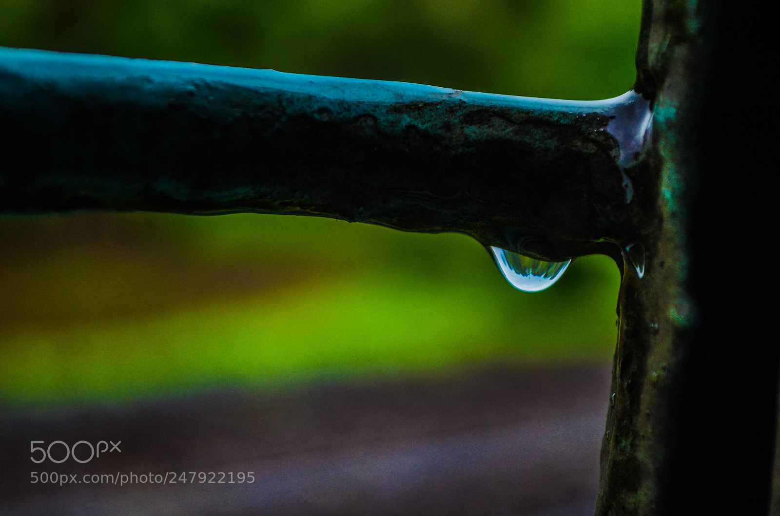 Nikon D5100 sample photo. Drop photography