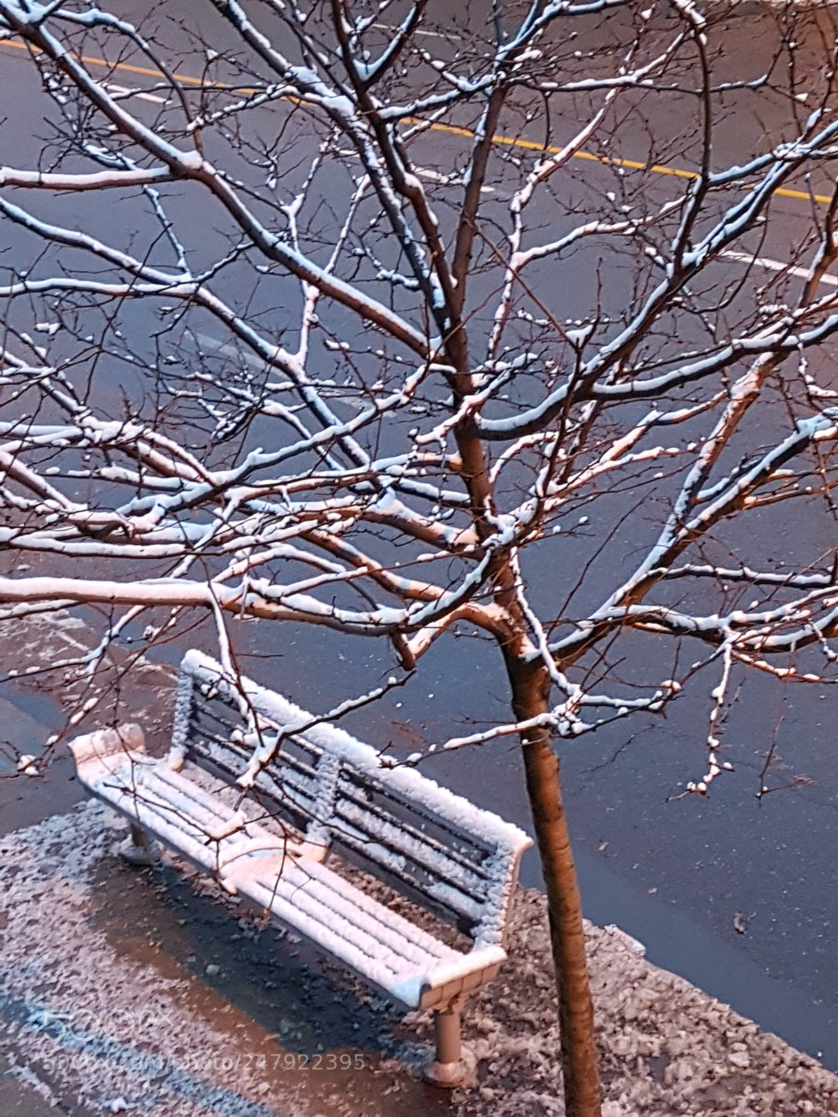 Samsung Galaxy S7 Edge sample photo. Fresh snow photography