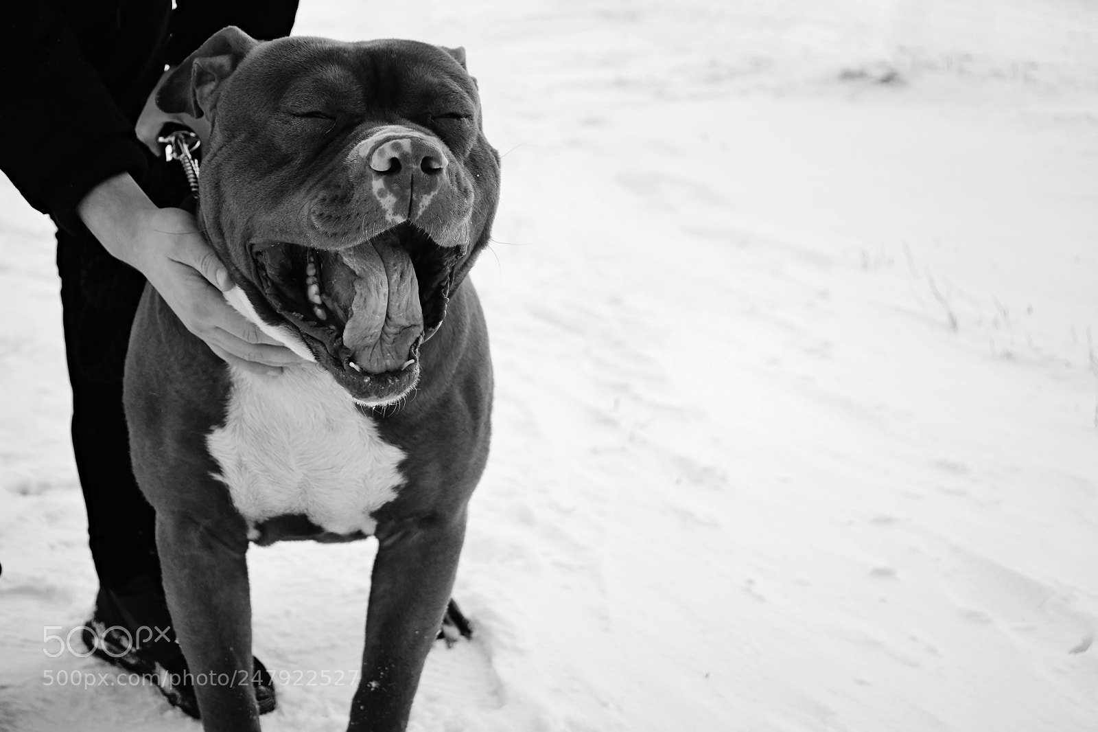 Nikon D3100 sample photo. I love this photography