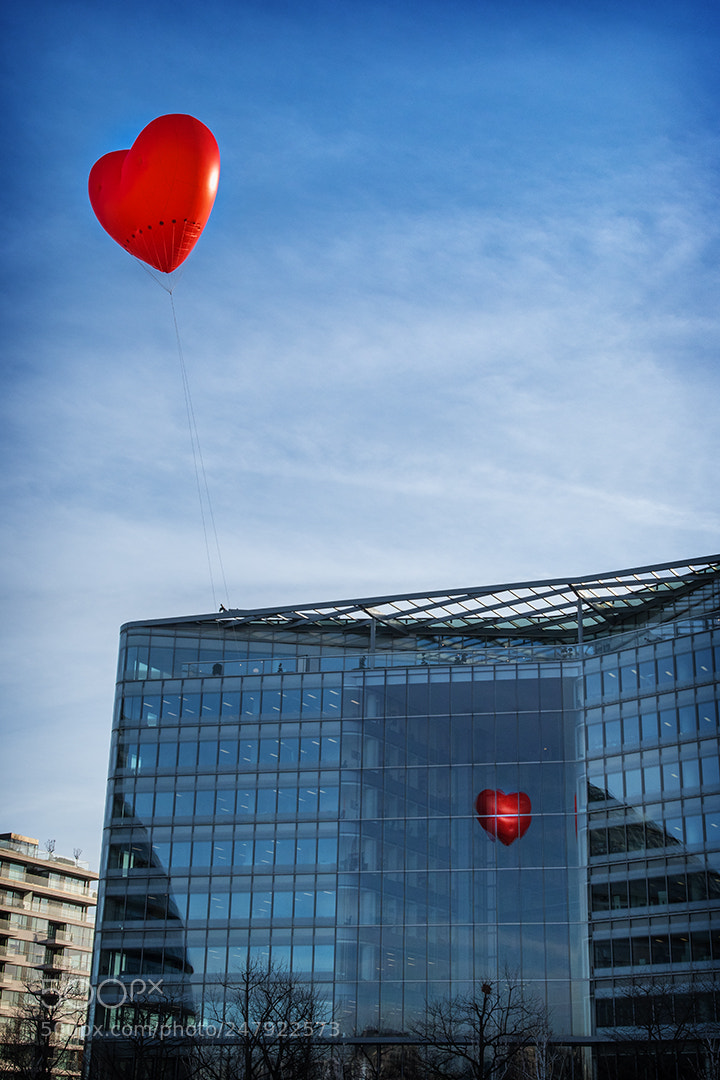 Nikon D500 sample photo. Red balloon photography