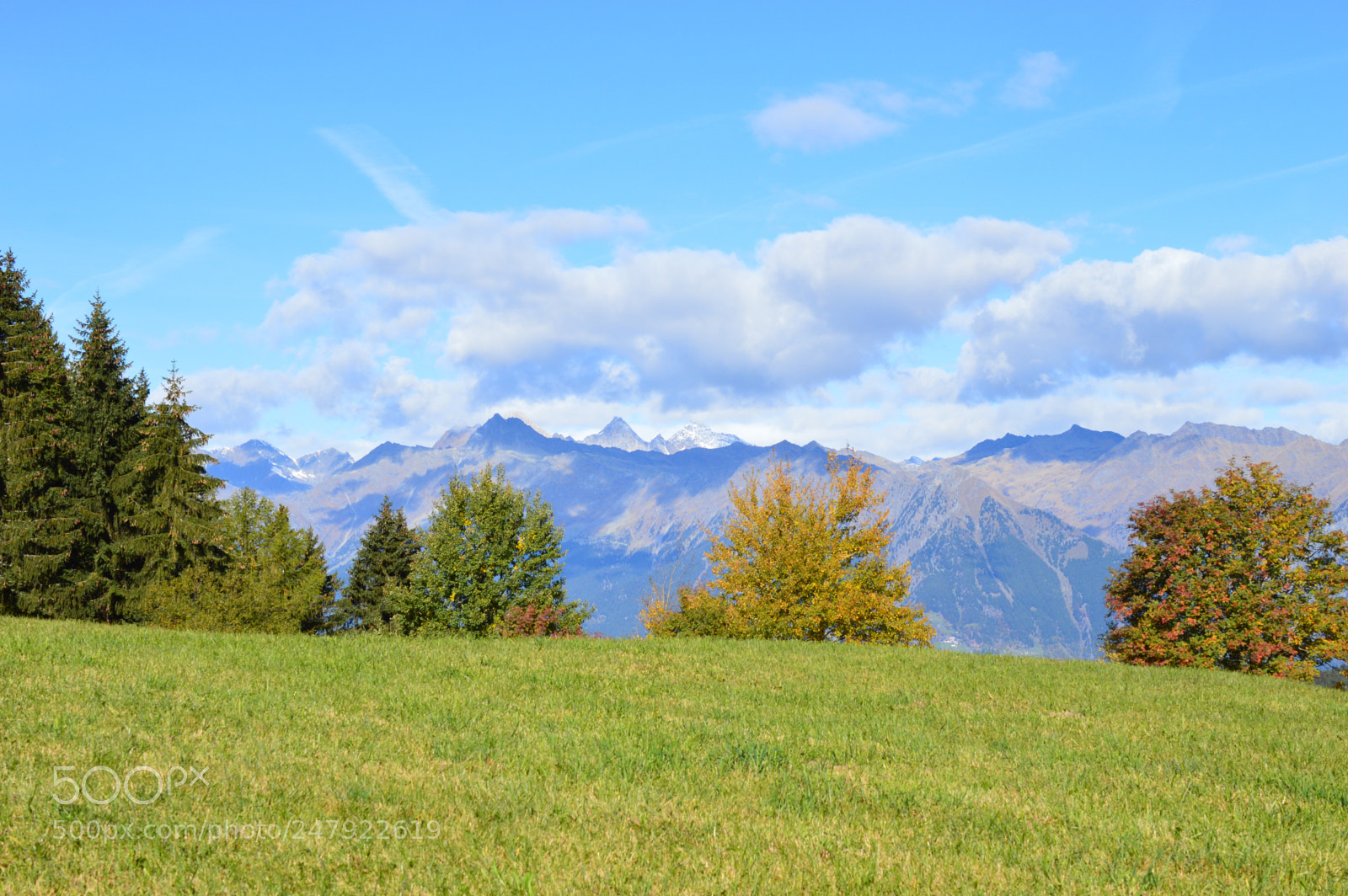 Nikon D3200 sample photo. Untitled photography