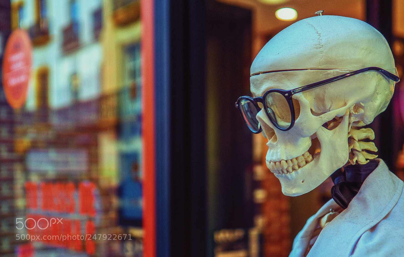 Olympus OM-D E-M1 Mark II sample photo. Olympus digital camera photography