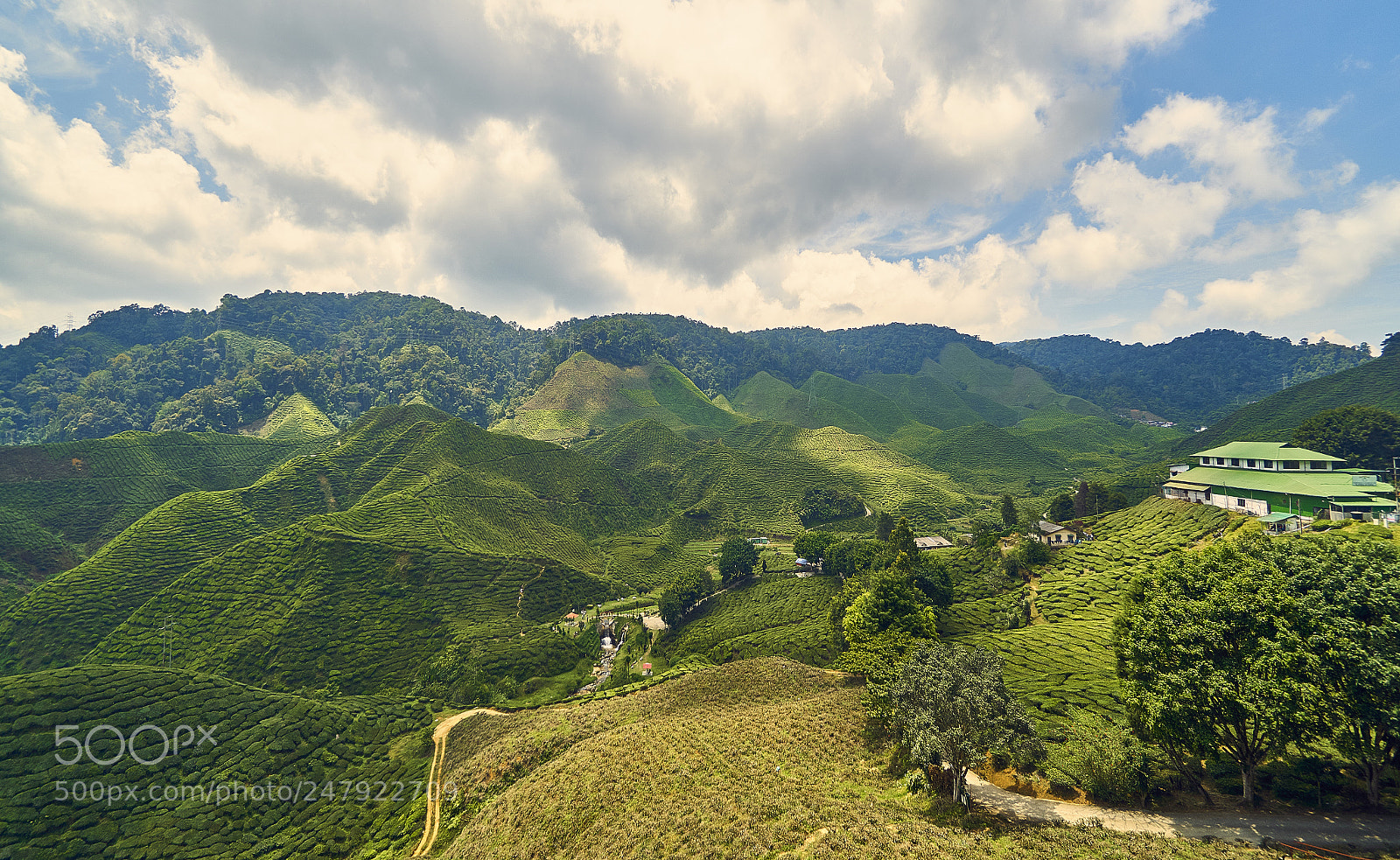 Sony a6300 sample photo. Mountain valley photography