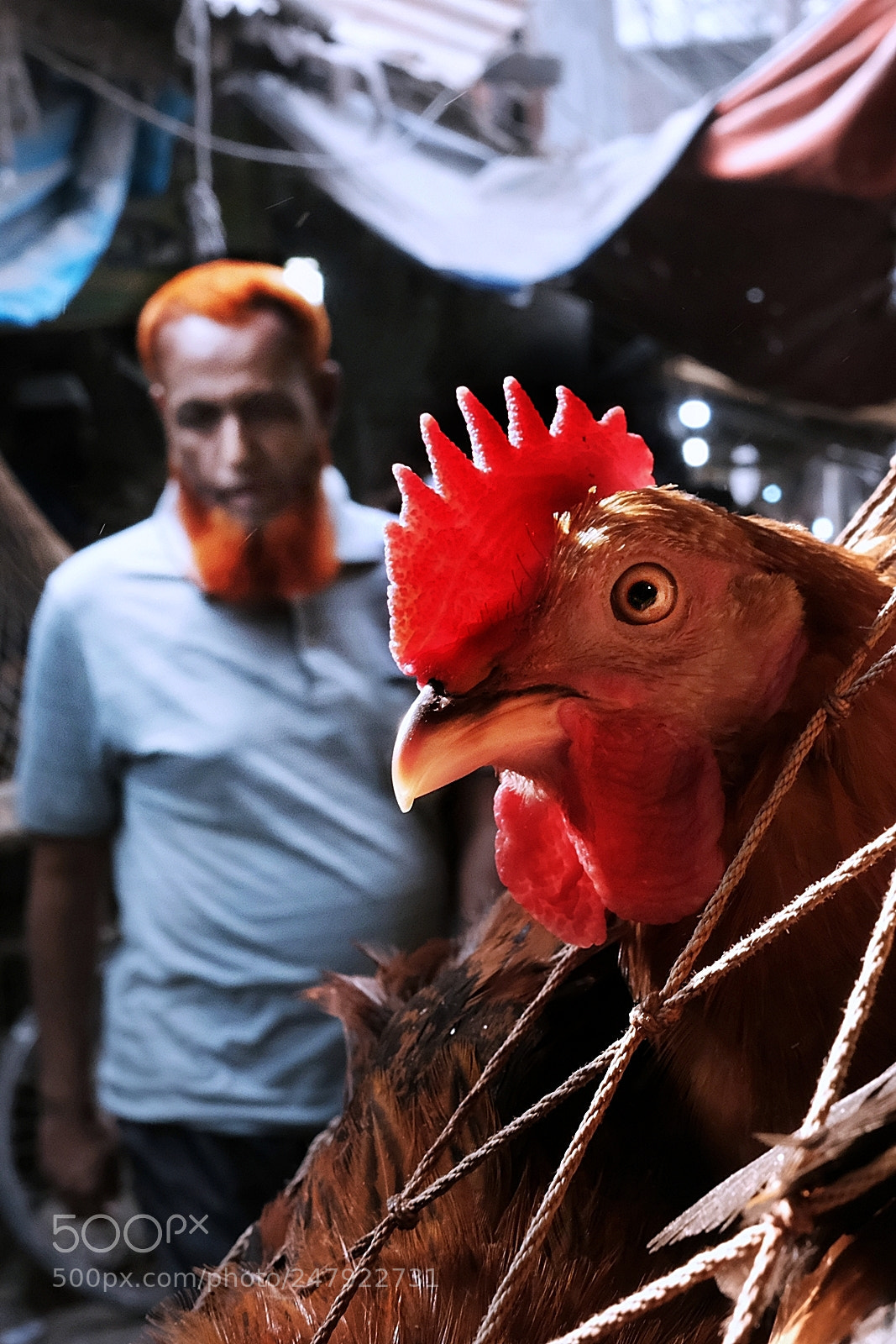 Fujifilm X-T2 sample photo. Butcher bazar -2 photography