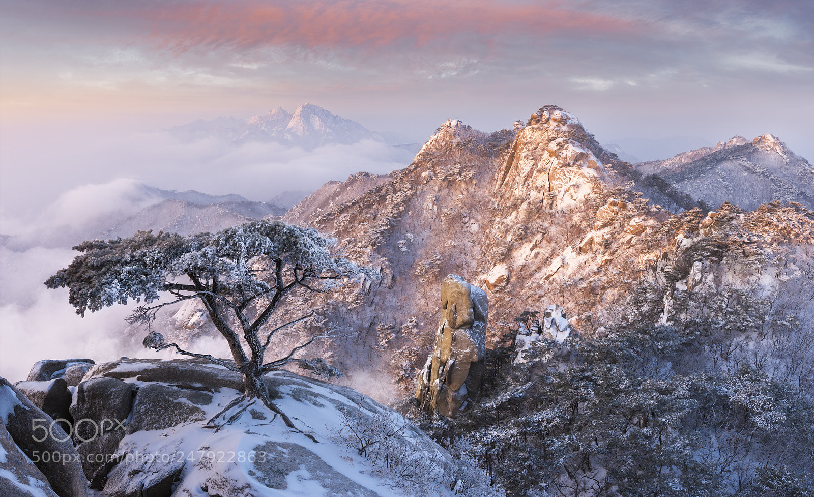 Nikon D810 sample photo. Pine tree of dobongsan photography